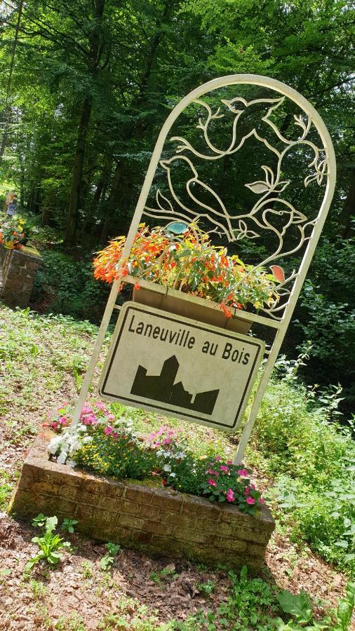 Le Prangeleux Bed & Breakfast Tenneville Dış mekan fotoğraf